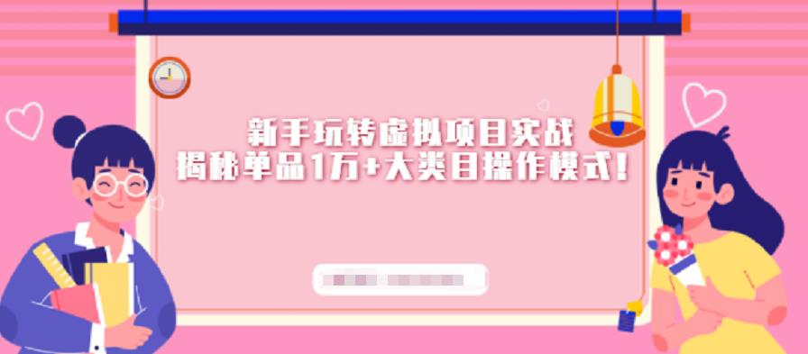新手玩转虚拟项目实战，揭秘单品1万+大类目操作模式【视频课程】-知创网
