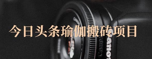 猎人社区·今日头条瑜伽搬砖项目，单号一天几十收入，可以批量操作！-知创网