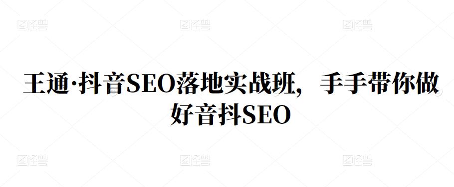 王通·抖音SEO落地实战班，手‬手带你做好音抖‬‬SEO-知创网