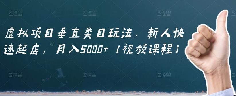 虚拟项目垂直类目玩法，新人快速起店，月入5000 【视频课程】-知创网