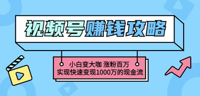 玩转微信视频号赚钱：小白变大咖涨粉百万实现快速变现1000万的现金流-知创网