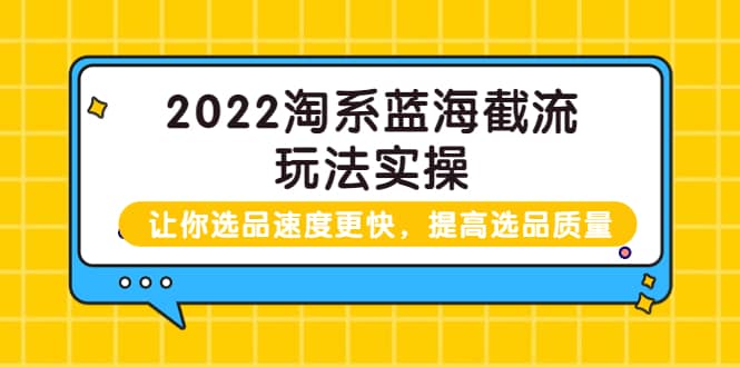 2022淘系蓝海截流玩法实操：让你选品速度更快，提高选品质量（价值599）-知创网