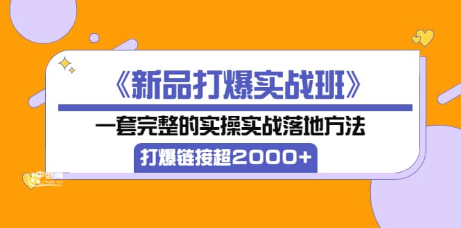 《新品打爆实战班》一套完整的实操实战落地方法，打爆链接超2000 （38节课)-知创网