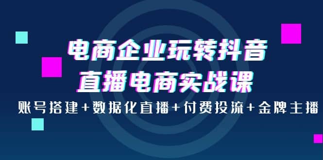 电商企业玩转抖音直播电商实战课：账号搭建 数据化直播 付费投流 金牌主播-知创网