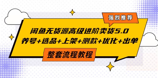 闲鱼无货源高级进阶卖货5.0，养号 选品 上架 测款 优化 出单整套流程教程-知创网