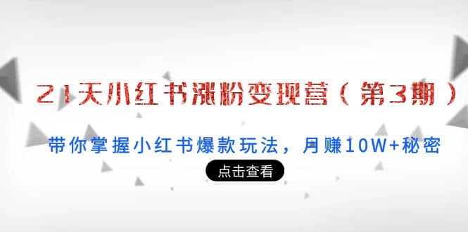 21天小红书涨粉变现营（第3期）：带你掌握小红书爆款玩法，月赚10W 秘密-知创网