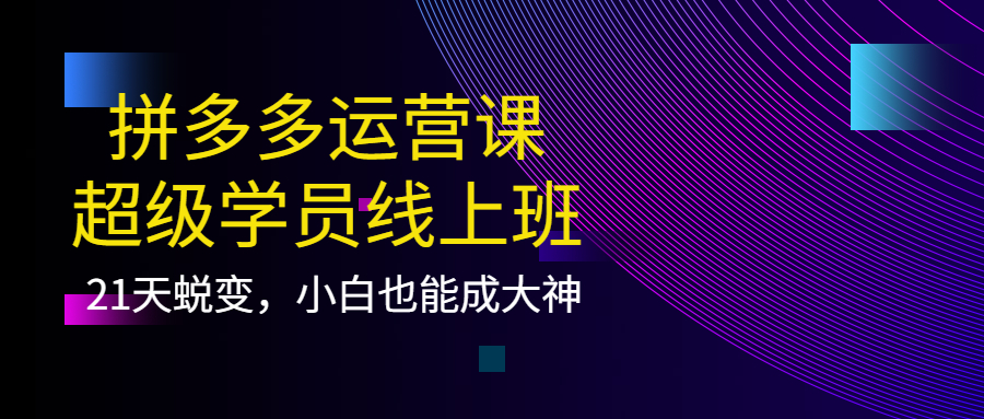 拼多多运营课：超级学员线上班，21天蜕变，小白也能成大神-知创网