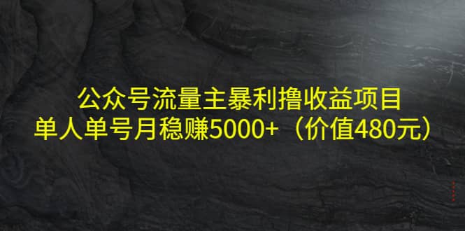 公众号流量主暴利撸收益项目，单人单号月稳赚5000+（价值480元）-知创网