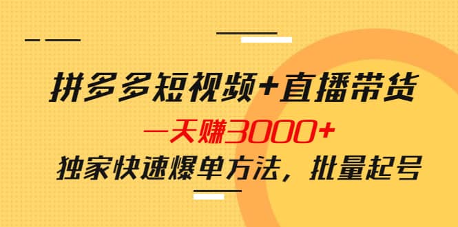 拼多多短视频 直播带货，一天赚3000 独家快速爆单方法，批量起号-知创网