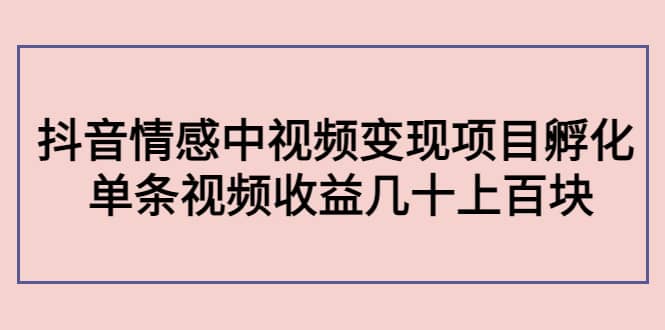 抖音情感中视频变现项目孵化-知创网
