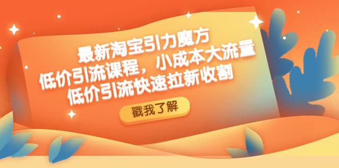 最新淘宝引力魔方低价引流实操：小成本大流量-知创网