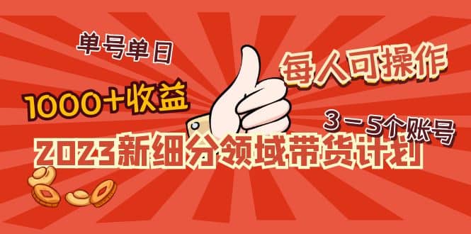 2023新细分领域带货计划：单号单日1000+收益不难，每人可操作3-5个账号-知创网