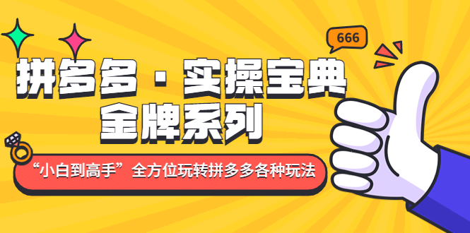 拼多多·实操宝典：金牌系列“小白到高手”带你全方位玩转拼多多各种玩法-知创网