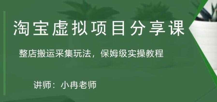 淘宝虚拟整店搬运采集玩法分享课：整店搬运采集玩法，保姆级实操教程-知创网