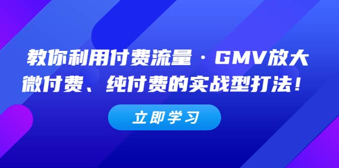 教你利用付费流量·GMV放大，微付费、纯付费的实战型打法-知创网