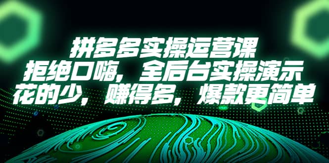 拼多多实操运营课：拒绝口嗨，全后台实操演示，花的少，赚得多，爆款更简单-知创网