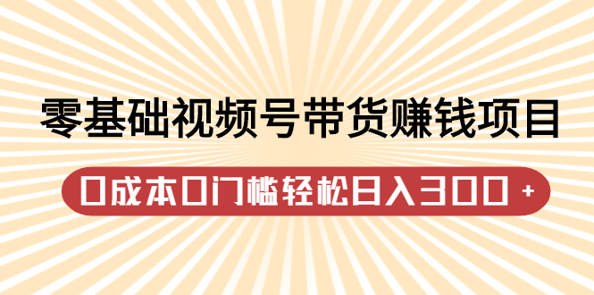 零基础视频号带货赚钱项目，0成本0门槛轻松日入300 【视频教程】-知创网