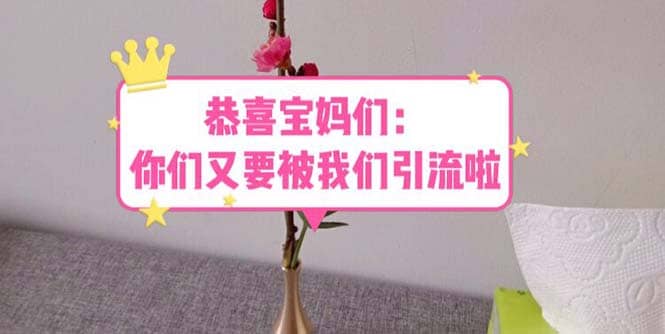 恭喜宝妈们：你们又要被我们引流了（教程+222g资料）-知创网