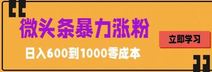 微头条暴力涨粉技巧搬运文案就能涨几万粉丝，简单0成本，日赚600-知创网