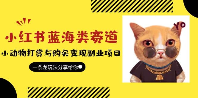 小红书蓝海类赛道：小动物打赏与购买变现副业项目，一条龙玩法分享给你-知创网