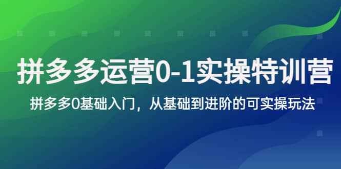 拼多多-运营0-1实操训练营，拼多多0基础入门，从基础到进阶的可实操玩法-知创网