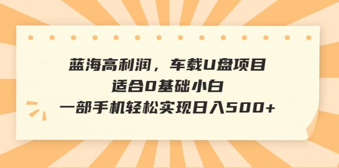 蓝海高利润，车载U盘项目，适合0基础小白，一部手机轻松实现日入500+-知创网