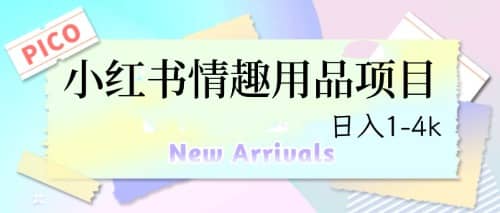 最新小红书情趣用品项目，日入1-4k-知创网