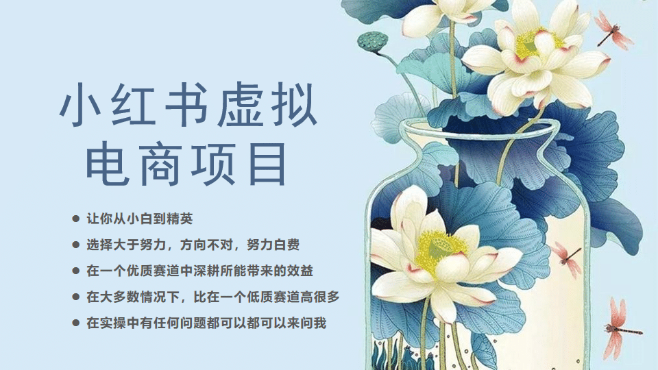 小红书虚拟电商从0到1，让你从小白到精英（20节实操课程）-知创网