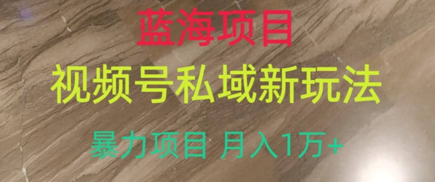 蓝海项目，视频号私域新玩法，暴力项目月入1万 【揭秘】-知创网