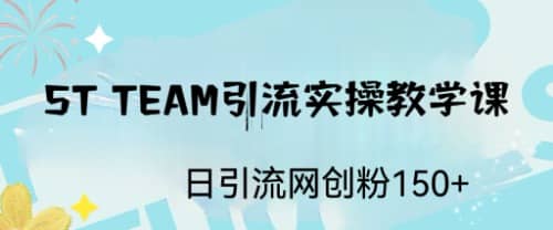 ST TEAM引流实操课，日引流网创粉100-知创网