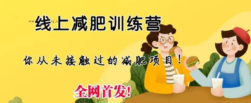 线上减肥训练营，足不出户，仅靠拉几个社群，发几条朋友圈，就可以月实现入五位【揭秘】-知创网