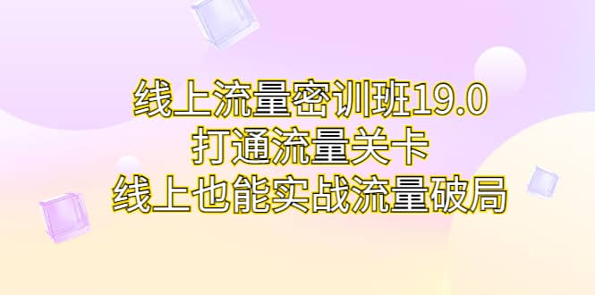 线上流量密训班19.0，打通流量关卡，线上也能实战流量破局-知创网