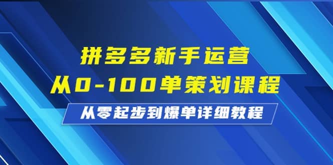 拼多多新手运营从0-100单策划课程，从零起步到爆单详细教程-知创网
