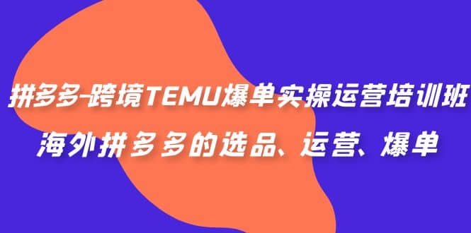 拼多多-跨境TEMU爆单实操运营培训班，海外拼多多的选品、运营、爆单-知创网