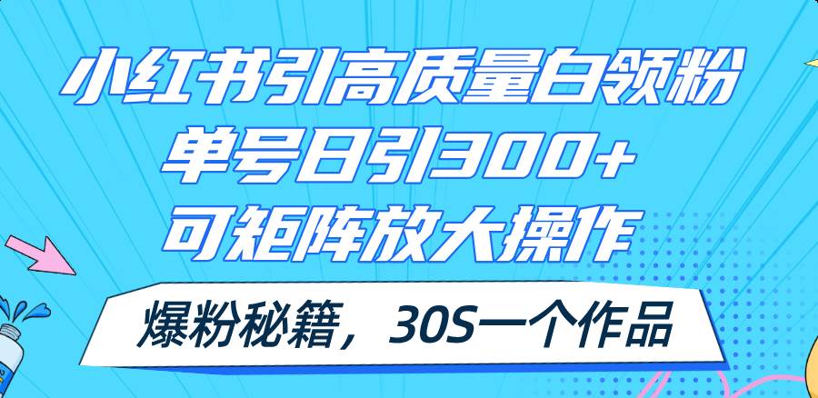小红书引高质量白领粉，单号日引300+，可放大操作，爆粉秘籍！30s一个作品-知创网