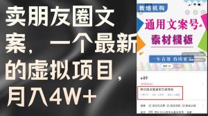 卖朋友圈文案，一个最新的虚拟项目，月入4W+（教程+素材）-知创网
