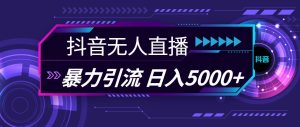 抖音无人直播，暴利引流，日入5000+-知创网