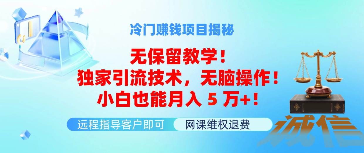 冷门赚钱项目无保留教学！独家引流技术，无脑操作！小白也能月入5万+！-知创网