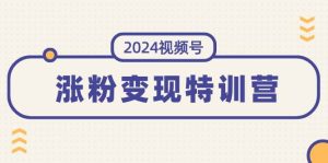 2024视频号-涨粉变现特训营：一站式打造稳定视频号涨粉变现模式（10节）-知创网