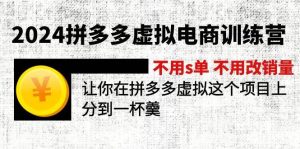 2024拼多多虚拟电商训练营 不s单 不改销量  做虚拟项目分一杯羹(更新10节)-知创网