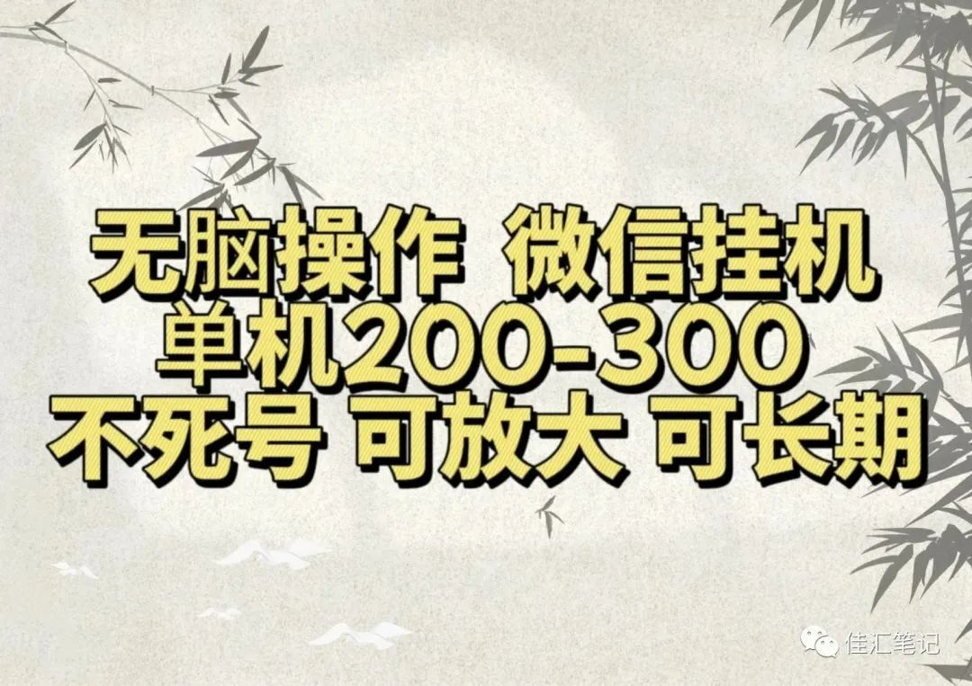 无脑操作微信视频号挂机单机200-300一天，不死号，可放大，工作室实测-知创网