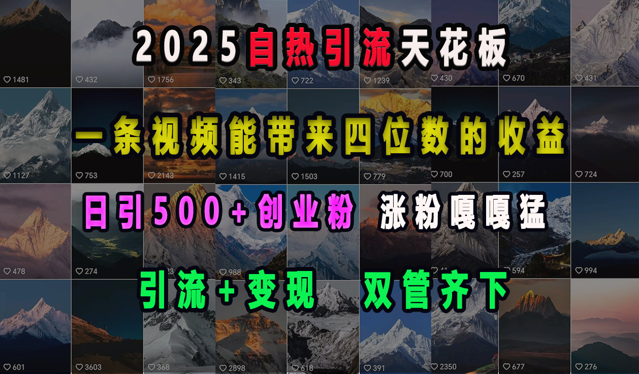 2025自热引流天花板，一条视频能带来四位数的收益，引流+变现双管齐下，日引500+创业粉，涨粉嘎嘎猛-知创网