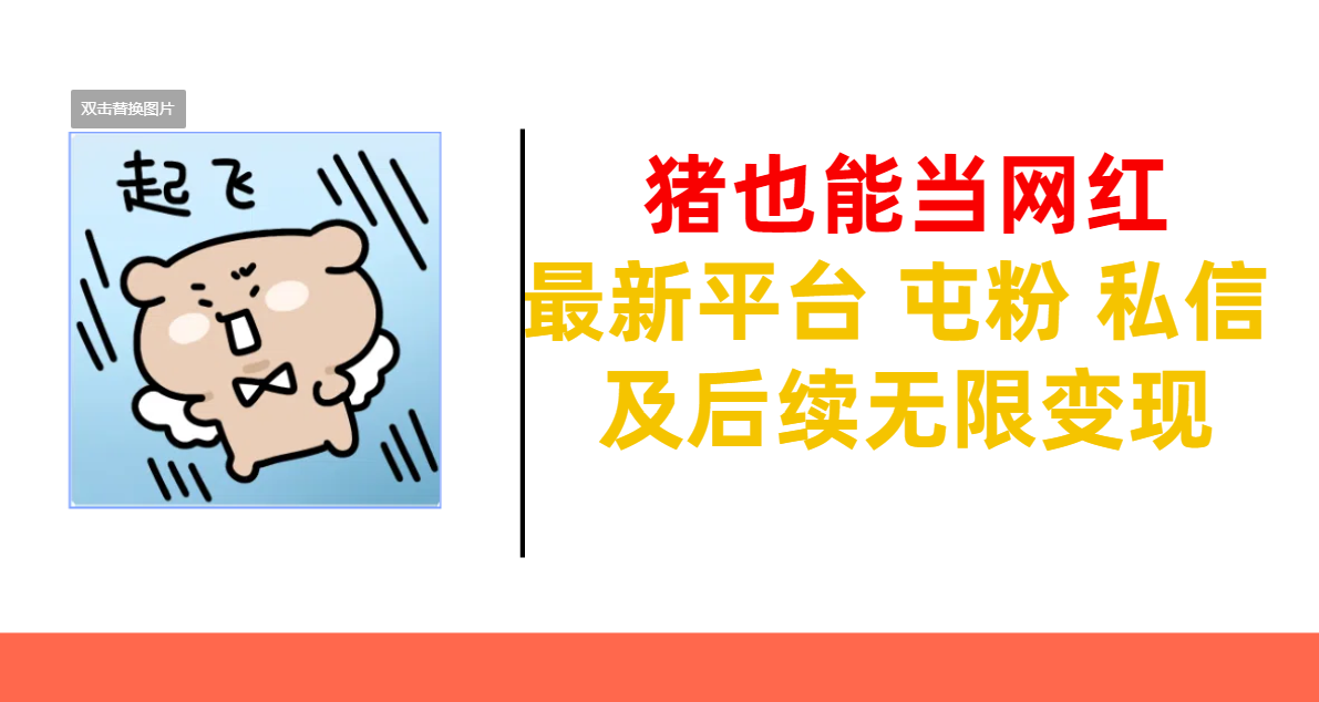 猪也能当网红-最新平台 屯粉 交流 私信 及后续无限变现-知创网