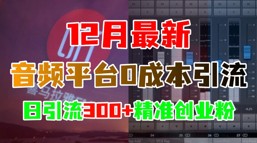 12月最新：音频平台0成本引流，日引300+精准创业粉-知创网