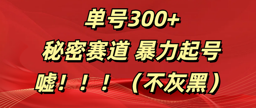 单号300+  秘密赛道 暴力起号  （不灰黑）-知创网