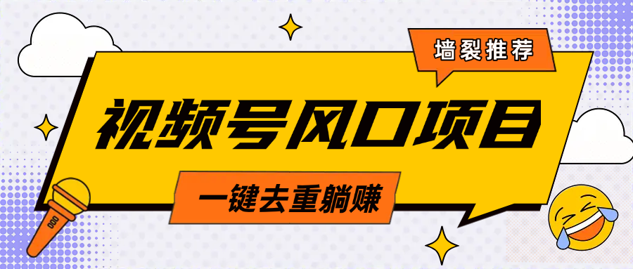 视频号风口蓝海项目，中老年人的流量密码，简单无脑，一键去重，轻松月入过万-知创网