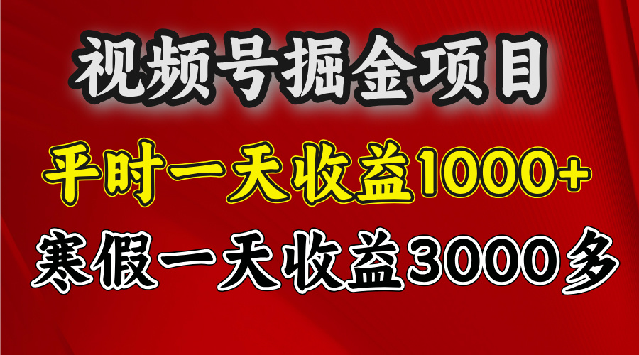 视频号掘金项目，寒假一天收益3000多-知创网