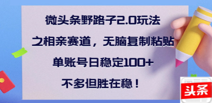 全网首发微头条野路子2.0玩法之相亲赛道，无脑搬砖复制粘贴，单账号日稳定300+保姆级教程-知创网
