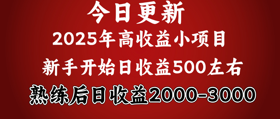 好项目一眼就能看出来，日收益1000，长久可做，2025拼的就是我比你勤奋-知创网