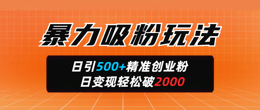 暴力吸粉玩法，日引500+精准创业粉，日变现轻松破2000-知创网